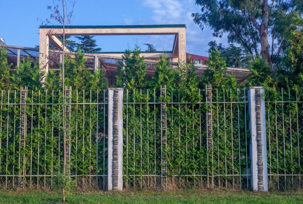 Pourquoi choisir une clôture rigide pour son jardin